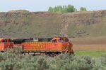 BNSF 5101